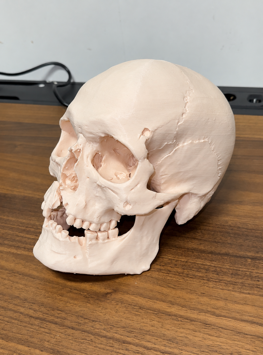 FDM-printed historical skull reconstruction on a wooden table